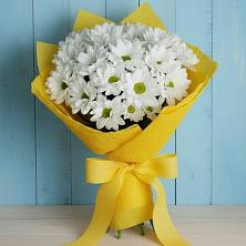 Букет цветов из:  Хризантемы в Орске