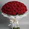 Букет 101 Красная роза Блэк Мэджик в Орске