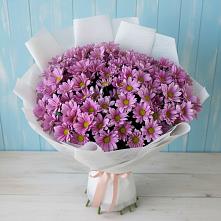 Букет цветов из:  Хризантемы #REPLACE_PRED# Орске