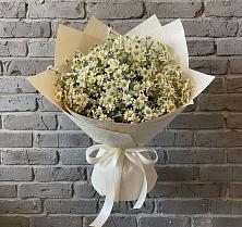 Букет цветов из:  Ромашки в Орске