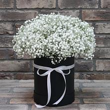 Цветочная композиция из Гипсофила в шляпной коробке в Орске