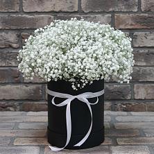 Цветочная композиция из Гипсофила в шляпной коробке в Орске