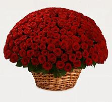 Премиум букет из: Розы #REPLACE_PRED# Орске