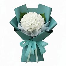 Букет цветов из:  Гортензия в Орске